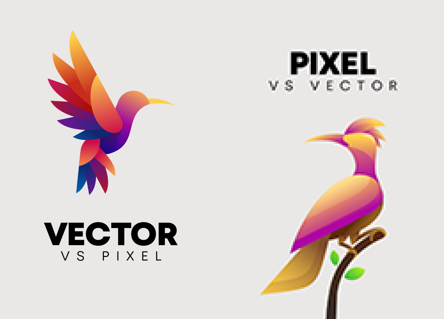 vector-vs-pixel